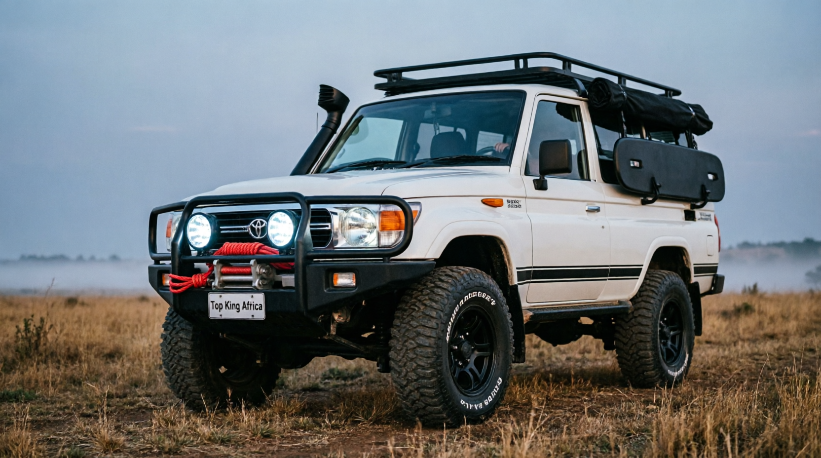 Professional auto care